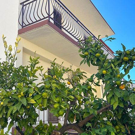 Niko Apartments Drvenik  Kültér fotó