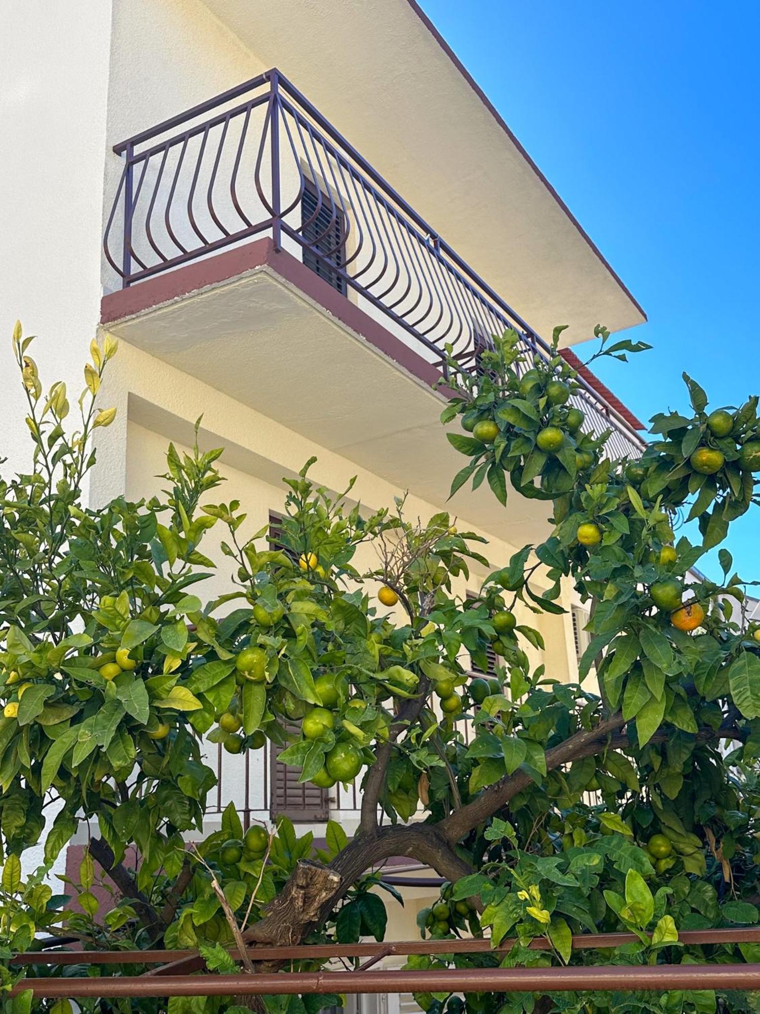 Niko Apartments Drvenik  Kültér fotó